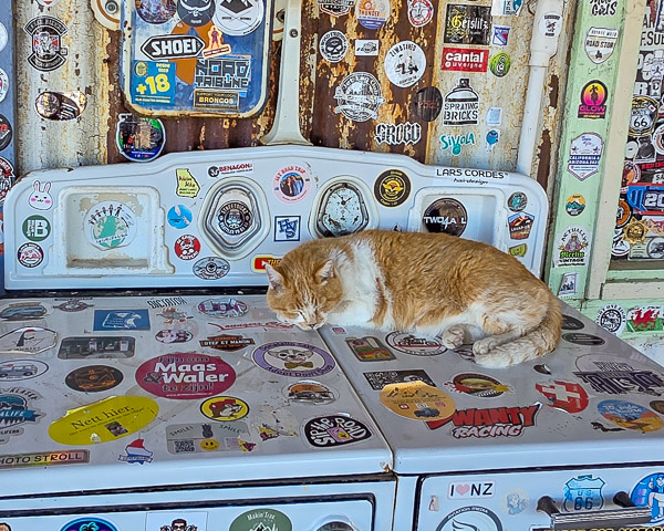 Hackberry General Store